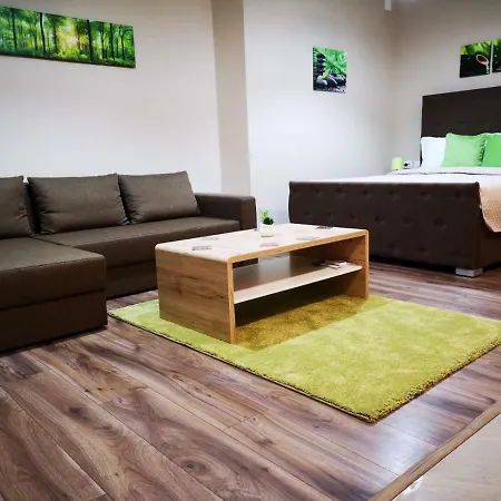 Irina تيميشورا