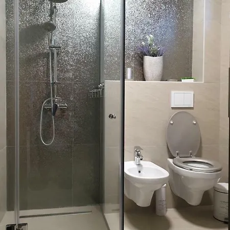 Apartament Irina Timișoara