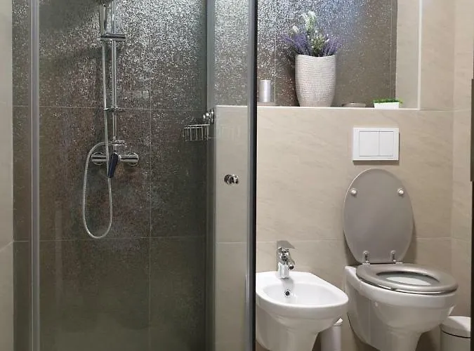 Appartement Irina Timişoara